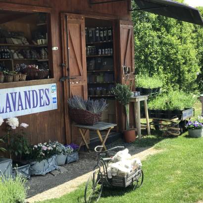 Die Ferme aux Lavandes mit botanischem Lavendelgarten