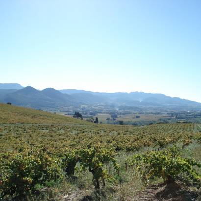 Fietsroute - Landschappen van de Côtes Du Rhône - 32