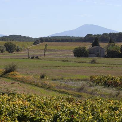 Cycle route - the Massif d'Uchaux by bike