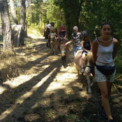 Les écuries de Bacchus, la mini ferme du Ventoux