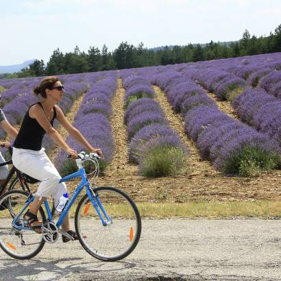 Fietsroute – De Hoogvlakte van Sault