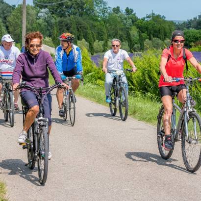 Mountainbikeroute n°1 – Ronde op de Rhônevallei