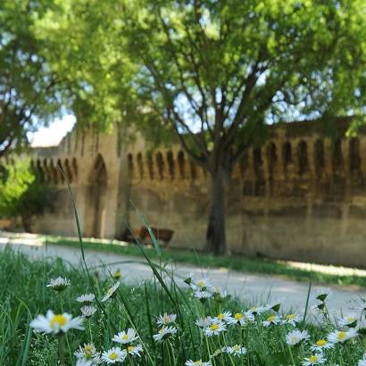 Le tour des remparts - Balade à vélo