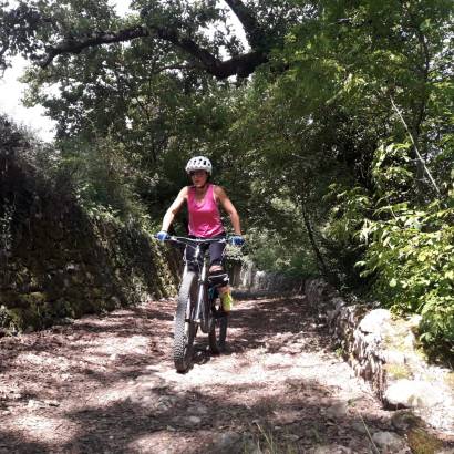 Mountainbikeroute n°61 - Les Plaines van de Provence