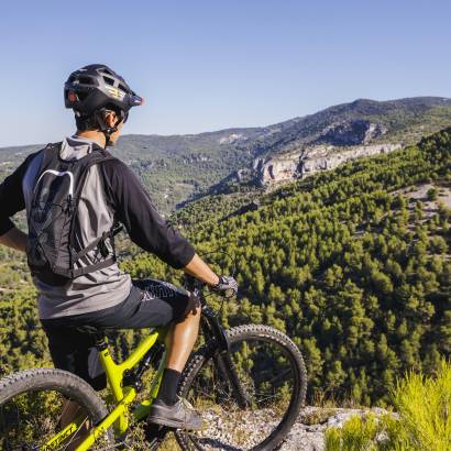 MTB Nr. 9 - Große Tour der Pestmauer - GPS