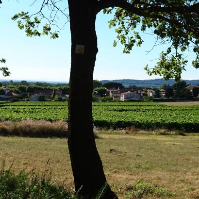 MTB no.40 - North-facing slope of the Petit Luberon