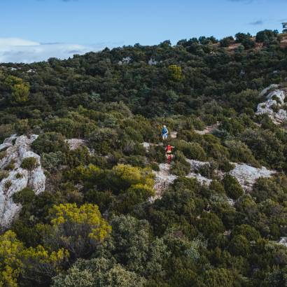 Trail des Monts de Vaucluse