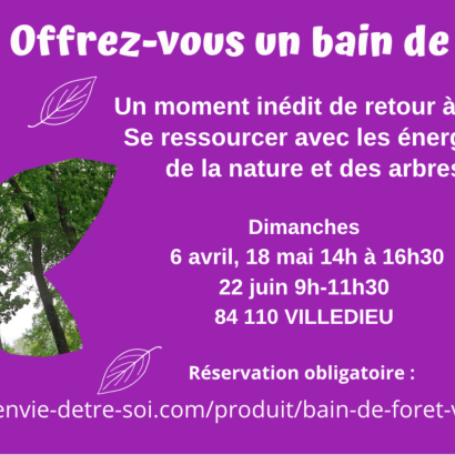 Bain de forêt