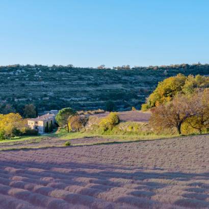 La Grande Bastide