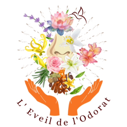 La spirale Arc-en-ciel des énergies olfactives - cycle des rencontres avec L'éveil de l'odorat La spirale Arc-en-ciel des énergies olfactives - cycle des rencontres avec L'éveil de l'odorat