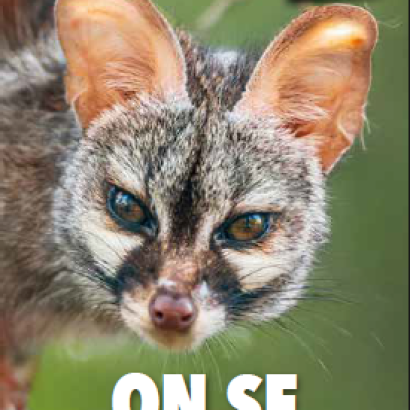 Rendez-vous Nature : Biodiversité crépusculaire et nocturne Rendez-vous Nature : Biodiversité crépusculaire et nocturne