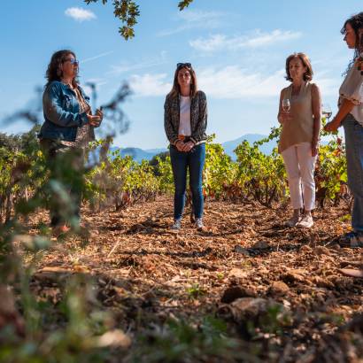 Sophrologie dans les vignes Sophrologie dans les vignes