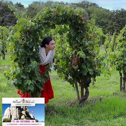Enquête dans les vignes - Murder party à La Roque Alric Enquête dans les vignes - Murder party à La Roque Alric