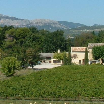 Walk around the Domaine du Vas Walk around the Domaine du Vas