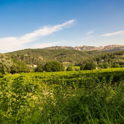 Visite en autonomie sur les pas des Bernardins Visite en autonomie sur les pas des Bernardins