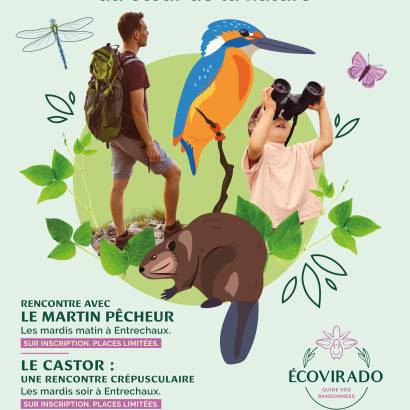 Les petites bêtes de l'eau - sortie découverte avec Ecovirado Les petites bêtes de l'eau - sortie découverte avec Ecovirado