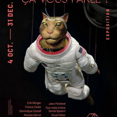 Do animals mean anything to you? Do animals mean anything to you?