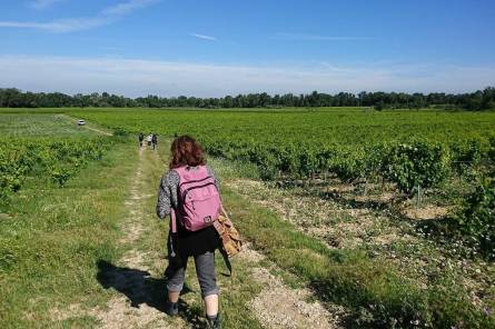 Winegrower's trail at Canteperdrix cellar