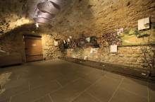 Truffle and wine museum
