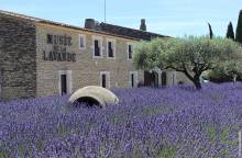 Musée de la Lavande