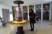 Musée de la truffe du Ventoux