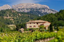 Domaine des Bernardins