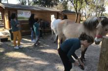 Portes ouvertes sur l'Equihomologie