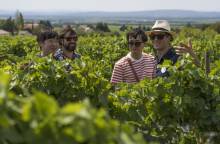 Provence Réservation