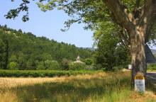 Site d'escalade - Malaucène