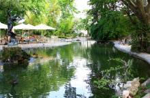 Le Jardin des Doms