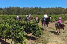 Centre équestre ''le poney rouge''