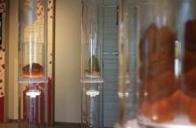La Maison du Fruit Confit