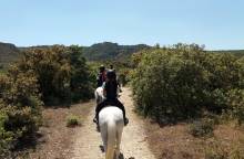 Ferme Equestre de la Capeirone