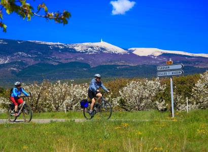 Au pied du Mont Ventoux