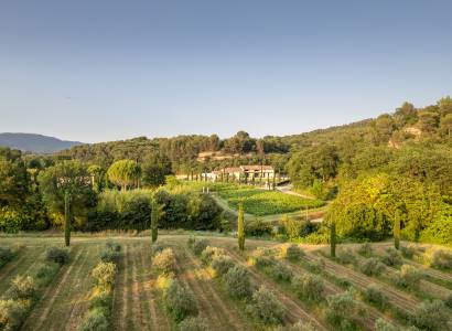 Moulin à Huile & Domaine Bastide du Laval