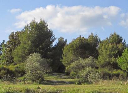 Camping à la Ferme Roumavagi