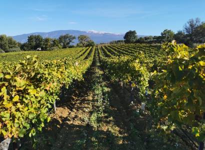 Domaine les Hautes Briguières