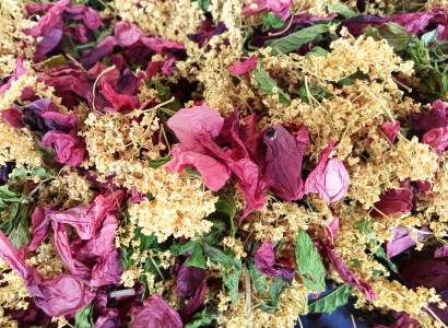 Aux Goûts Tendres - Jardin Aromatique - Productrices de Saveurs