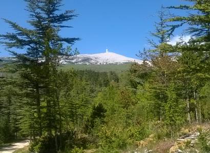 Réserve de Biosphère du "Mont Ventoux"
