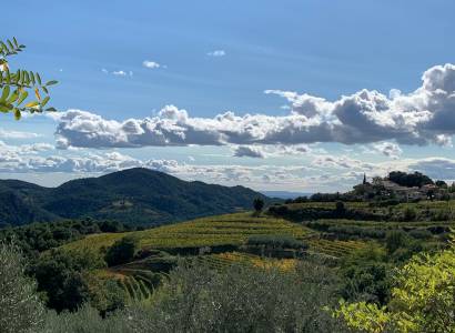 Domaine des Garances