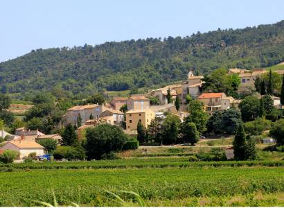 Village de Saint-Roman-de-Malegarde