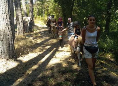 La mini ferme du Ventoux