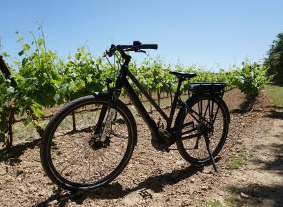 Sun-E-Bike - Location, vente, réparation de vélos