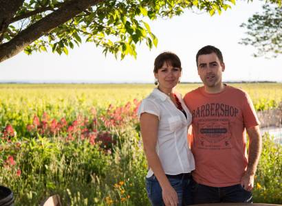 Domaine Rouge Bleu