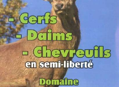 Parc à cervidés