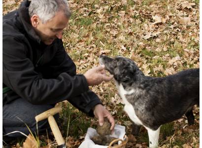 Domaine Piallat - Truffes