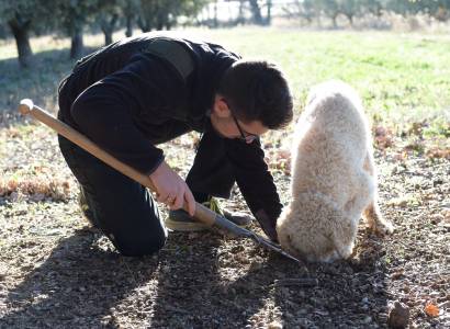 Espenon Truffes