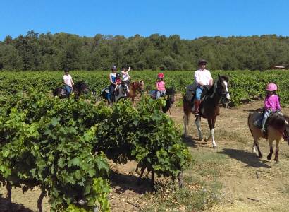 Centre équestre le Poney Rouge