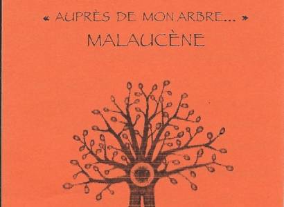 Association Auprès de mon Arbre