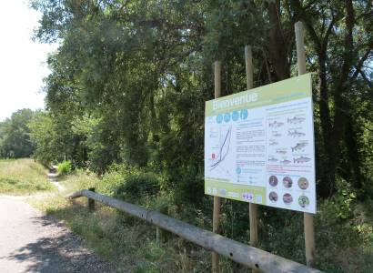 Parcours de pêche No-kill